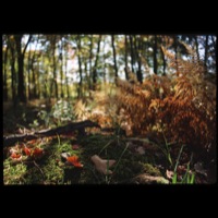 Picture 1 title