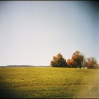 Picture 1 title
